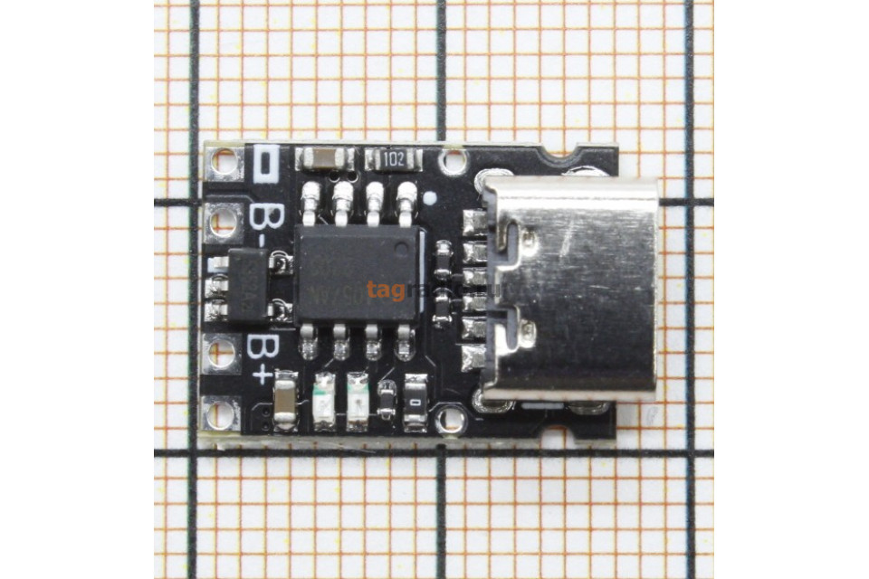 サボテン A 柱サボテン | アイルエッグポット - 観葉植物・多肉植物の販売、通販